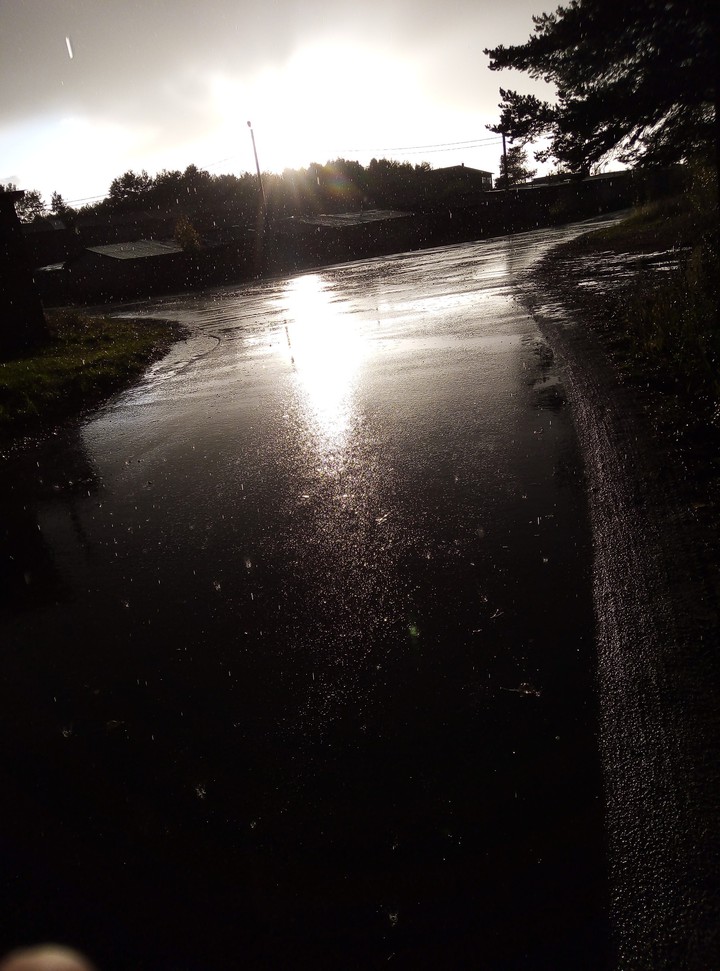 Sun