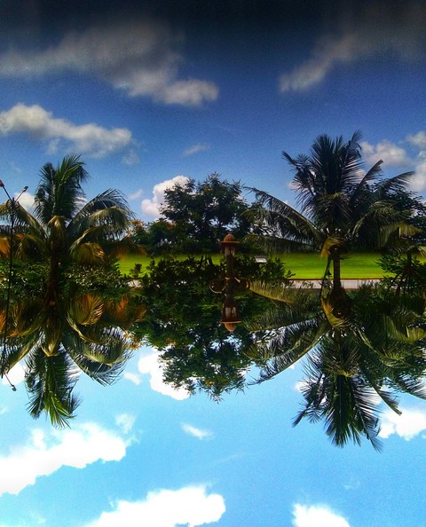 symmetrical reflection