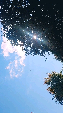 friday afternoon
