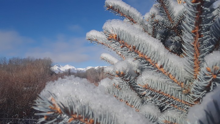 fresh snow on Christmas