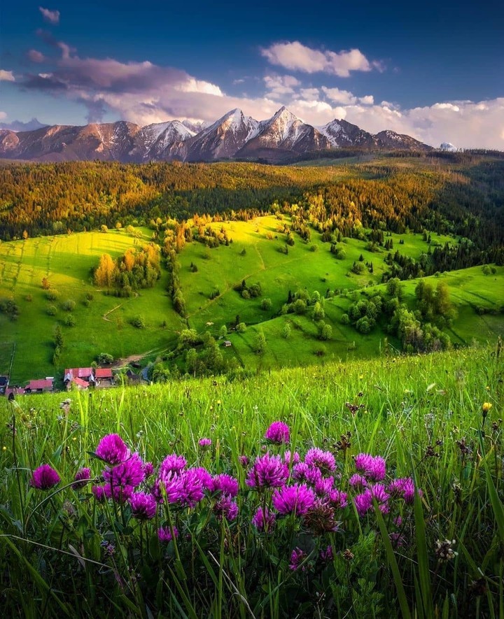 #panorama