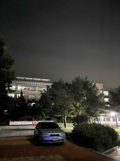 나의 애마