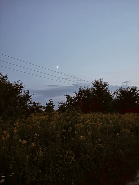 moon