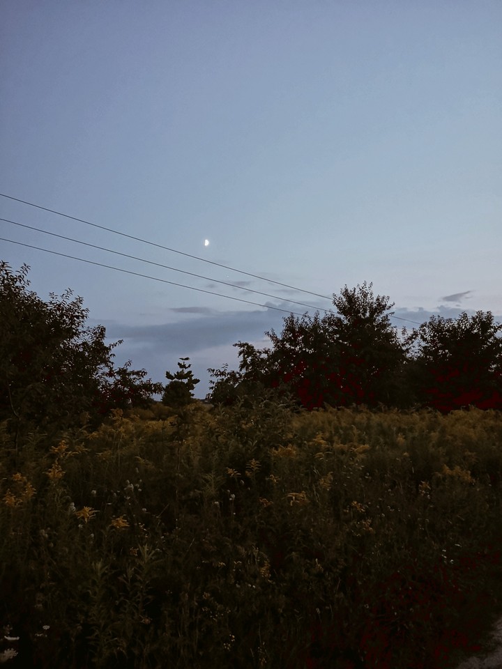 moon