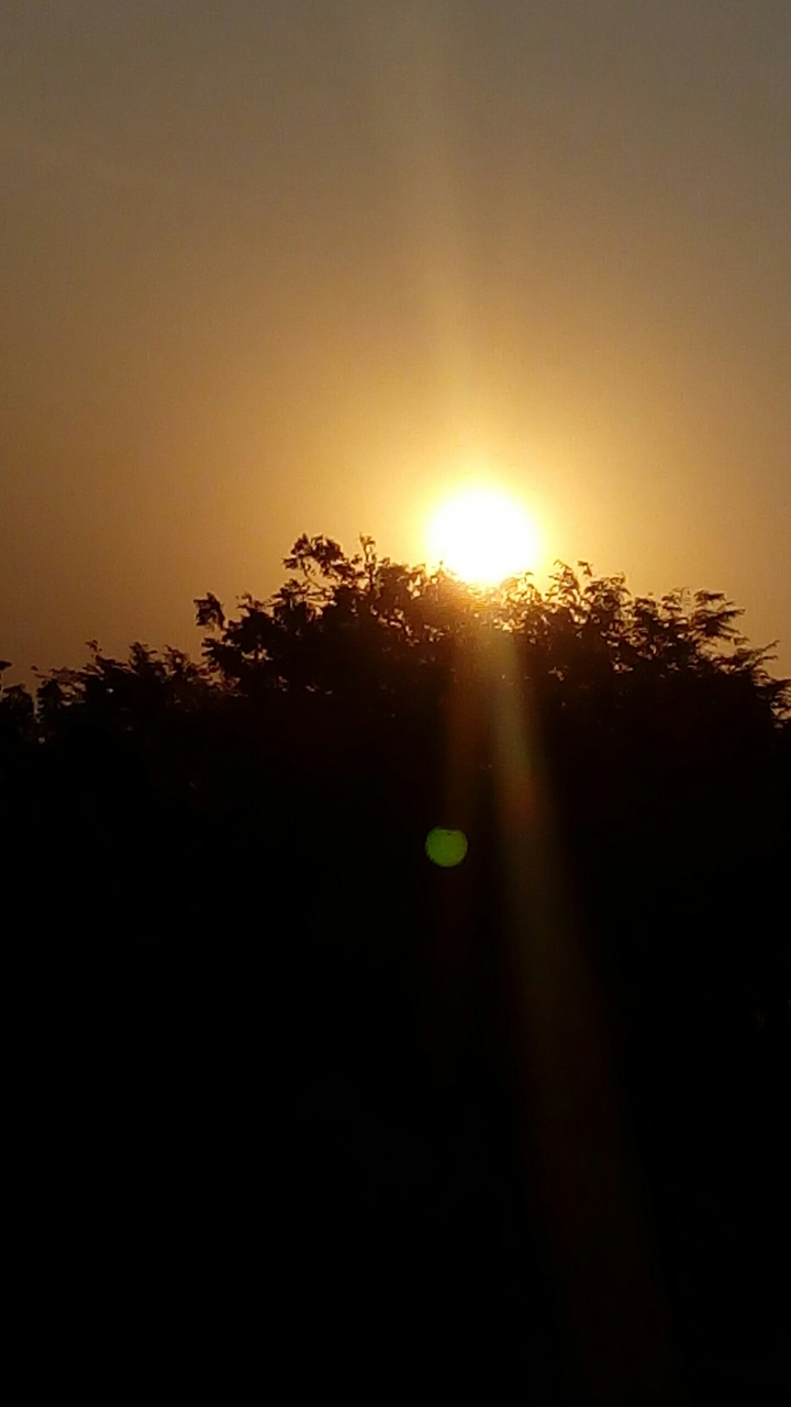 sun