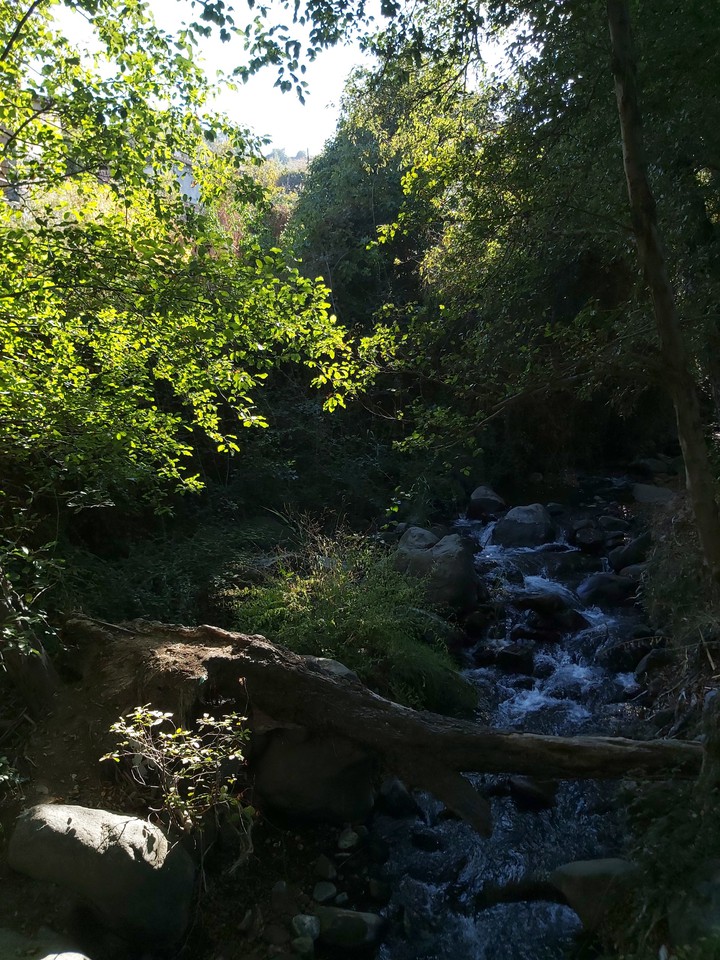 little stream