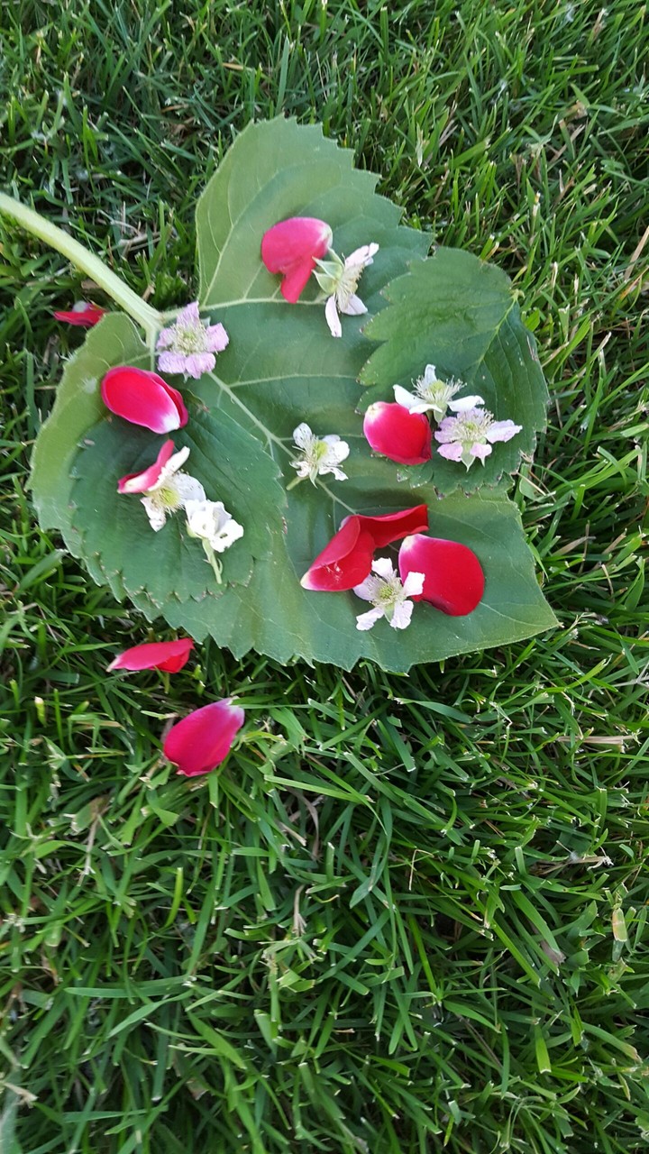 flower