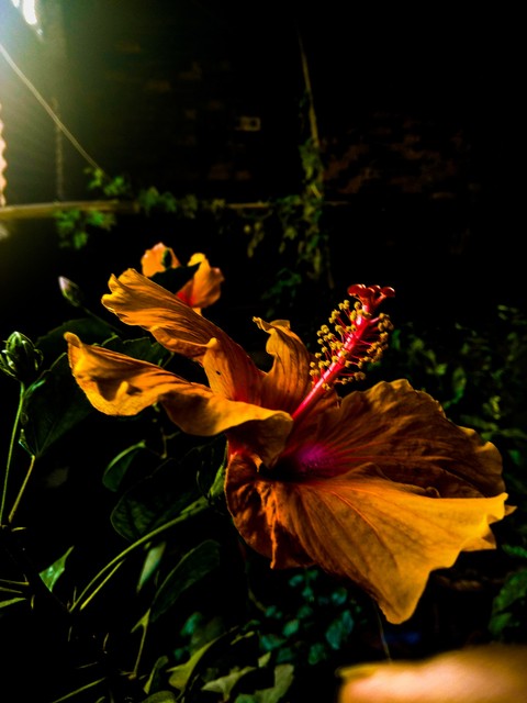 beauty_of_nature