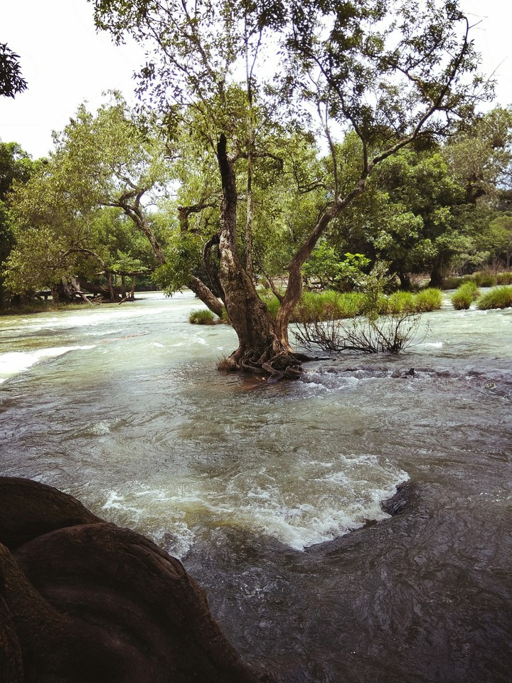 water