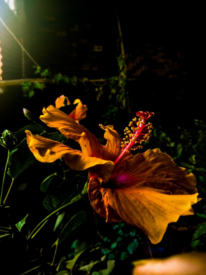 beauty_of_nature