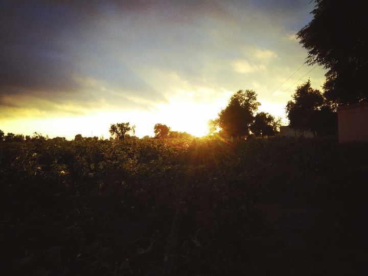 sunset