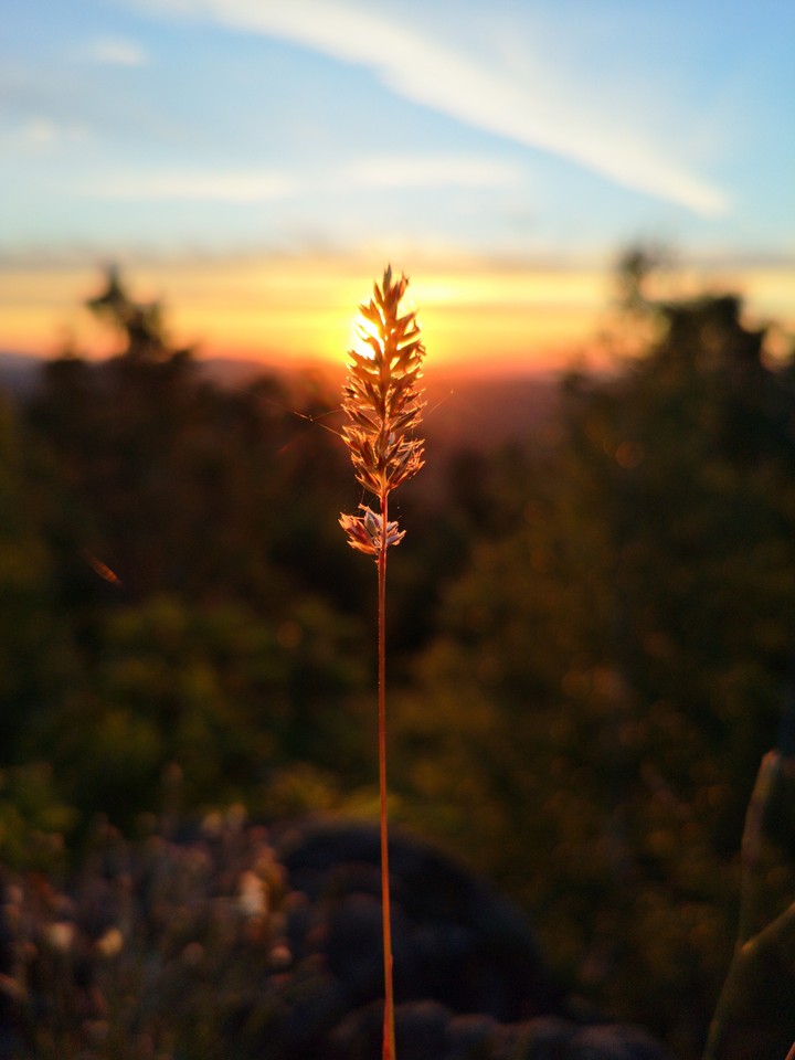 Ural