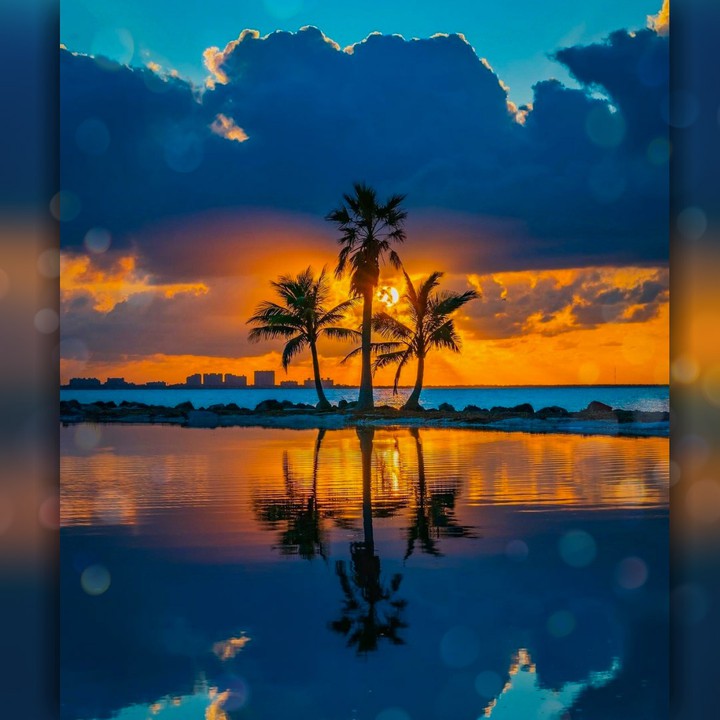 Nature's Beauty