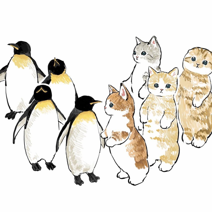 penguins. cats