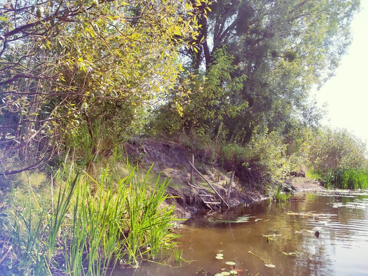 Тихий берег; Quiet shore