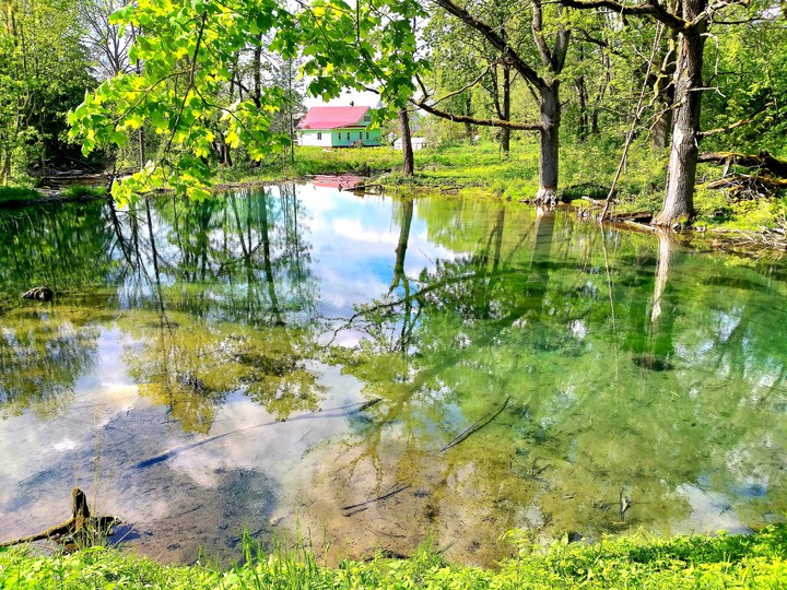 07.06.2020 г.