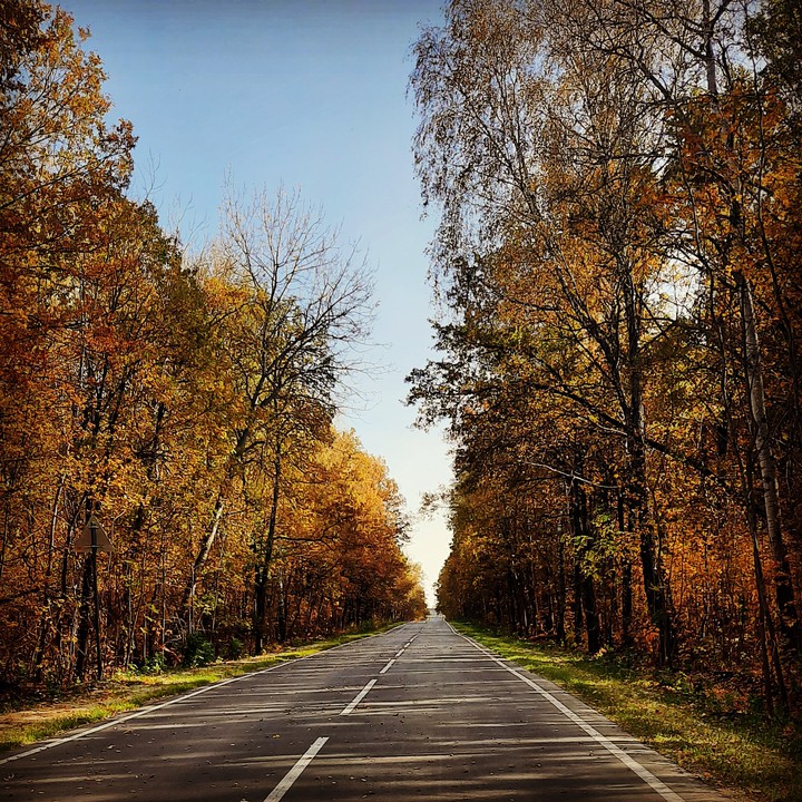 осень