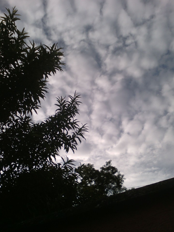 Nubes