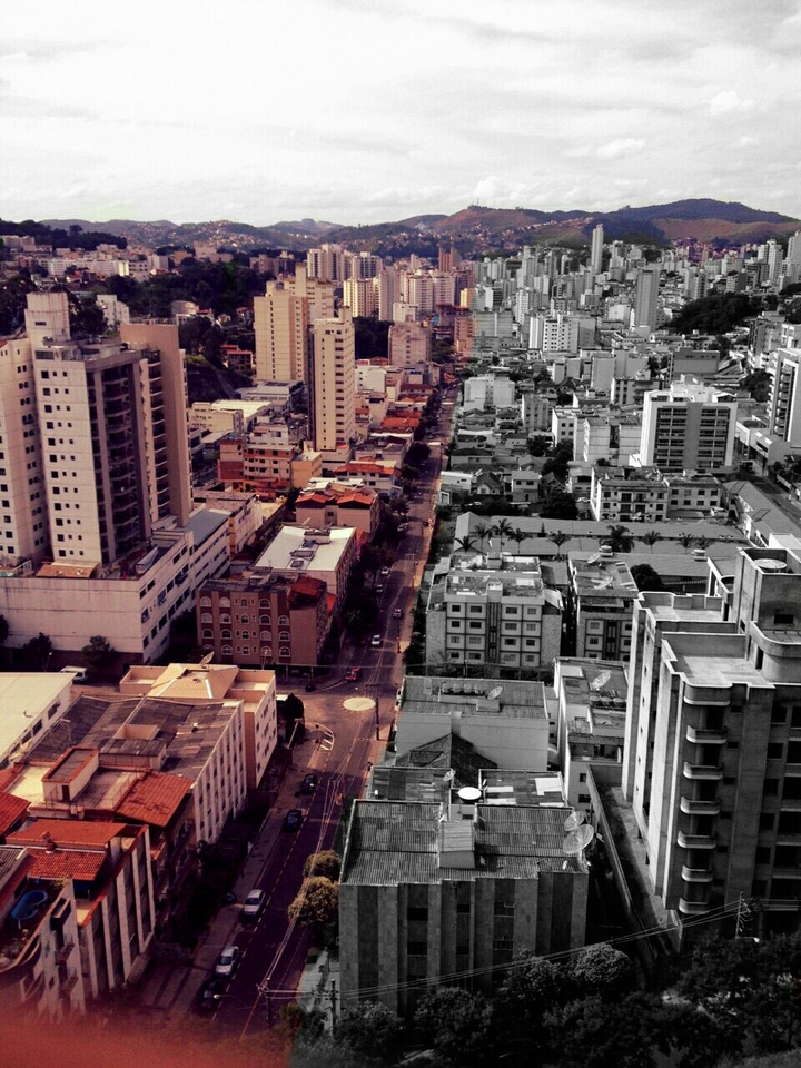 Selva de Pedra