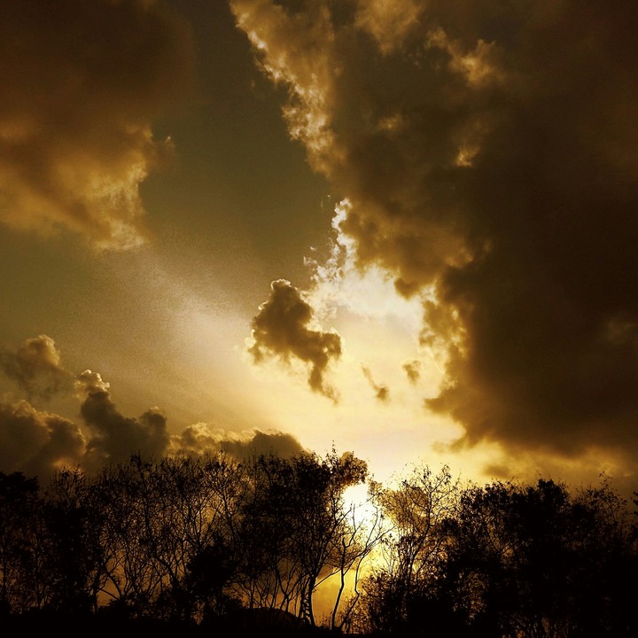 Sunlight :)