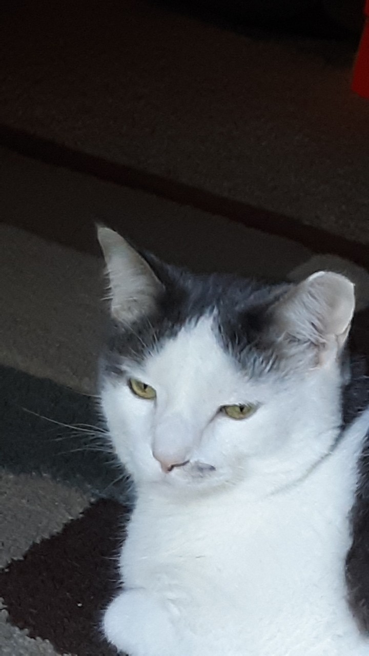 what you doin??