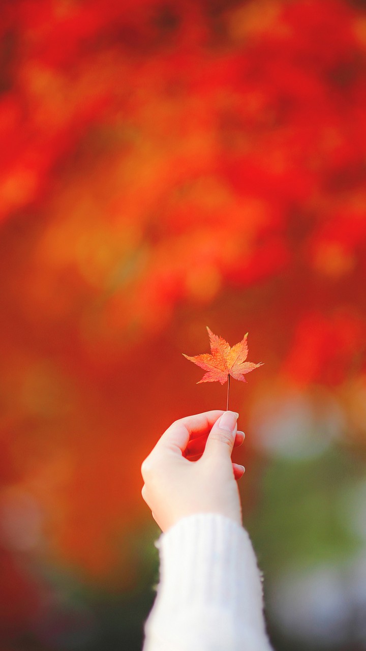 Autumn is Coming