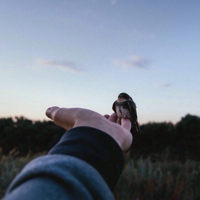 Природа жизни