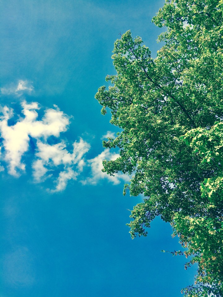 Nature @Erlangen