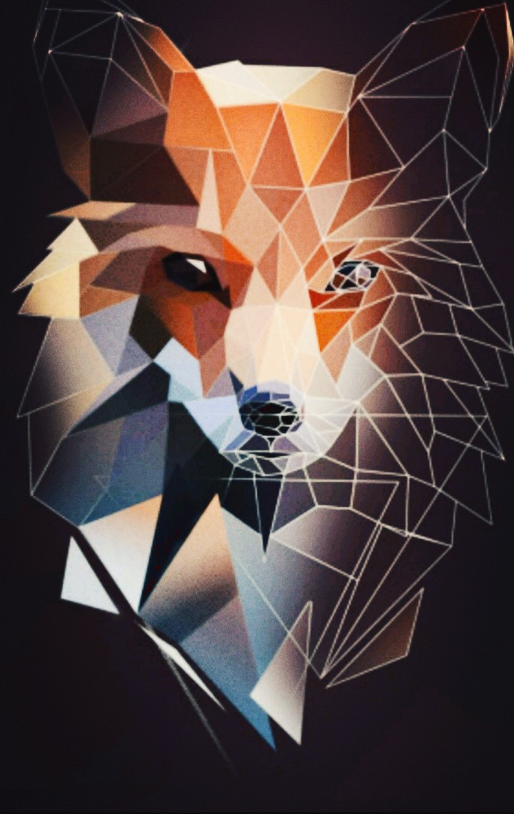 Fuchs / Fox