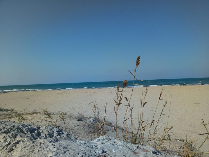 Caspian Sea