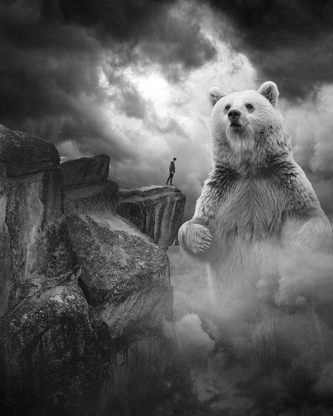 bear