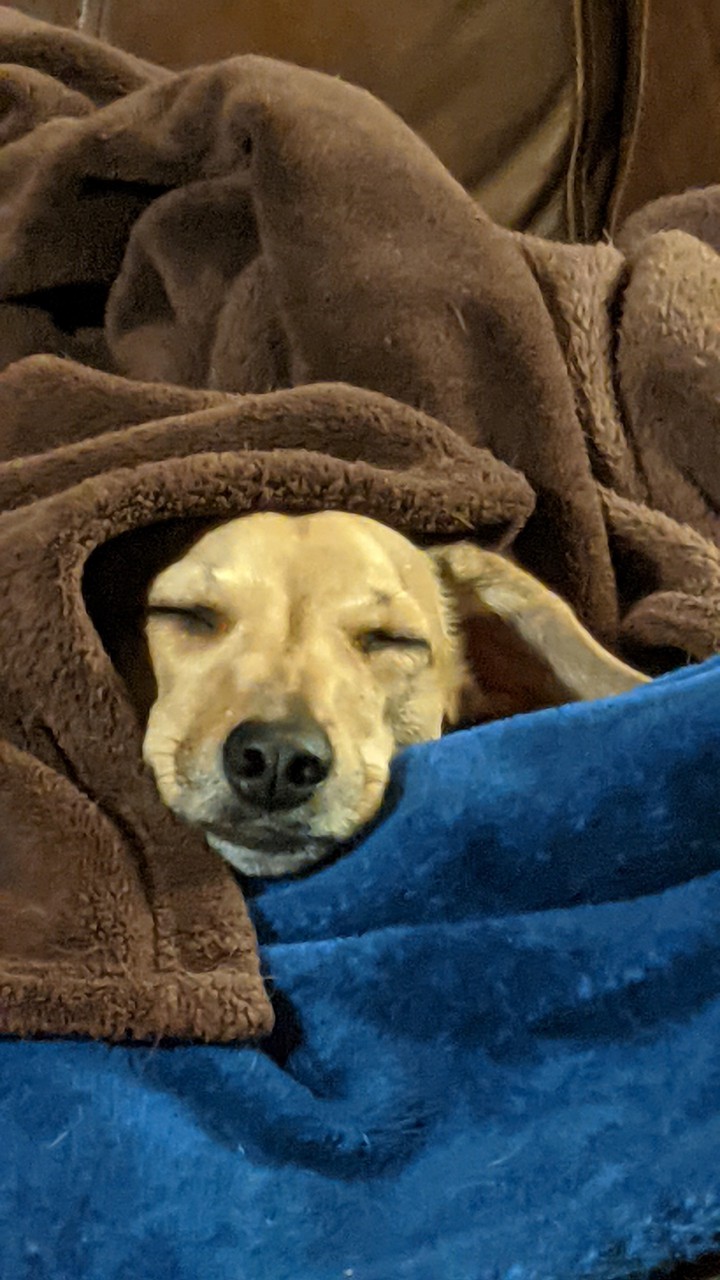 sleeping