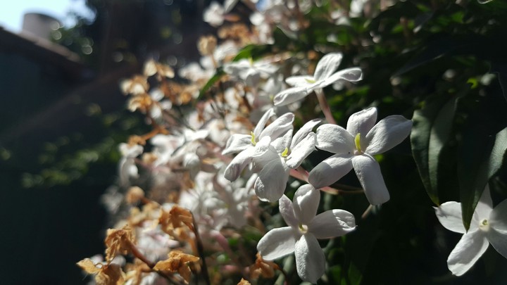 Spring 