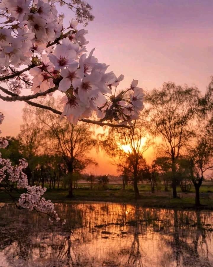 природа