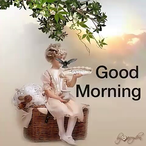 good morning
