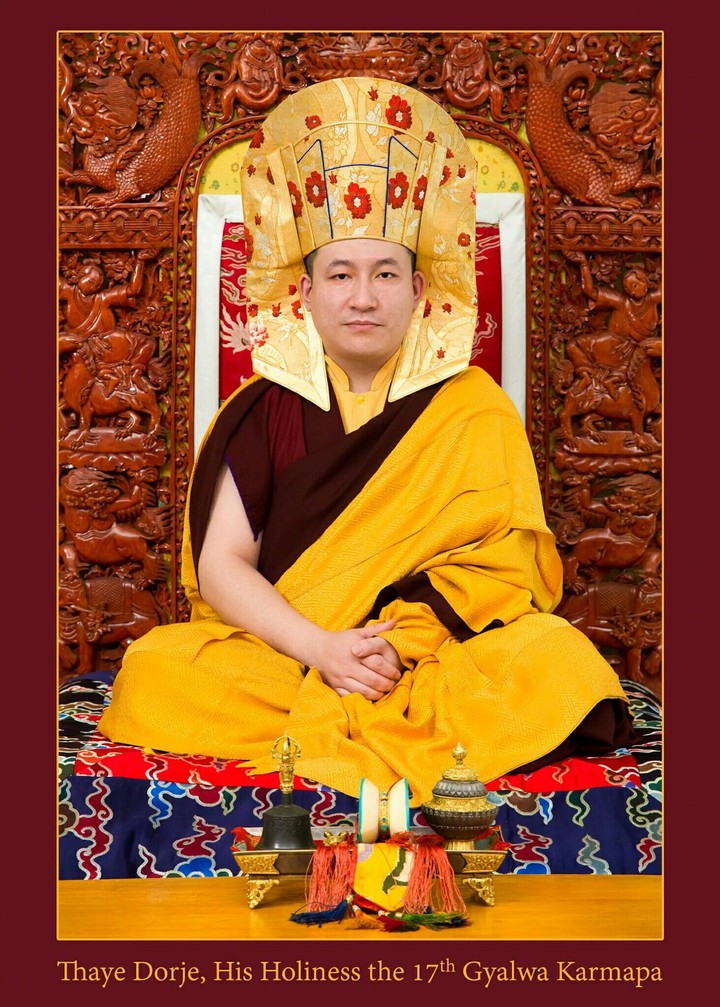 One Compassionate Devine