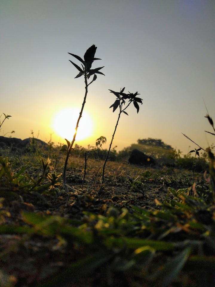 #nature