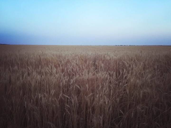 field