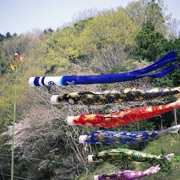 ornate koi nobori (carp streamers)
