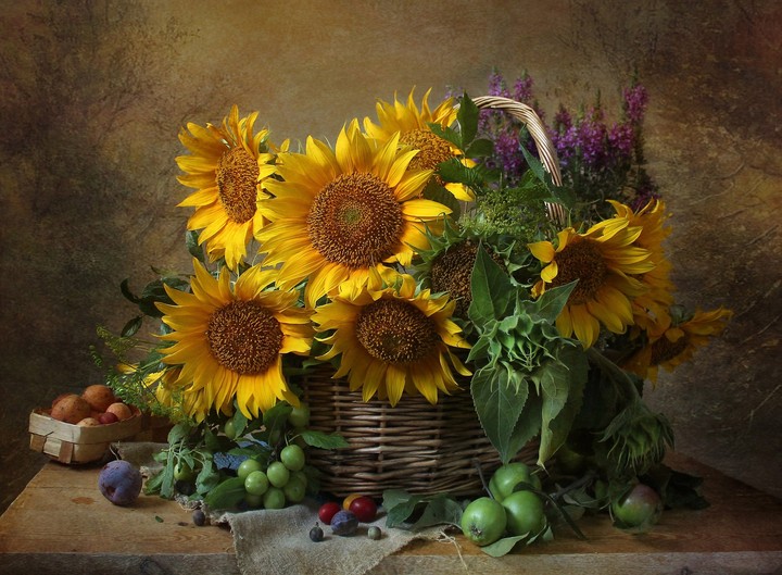 Sunflower