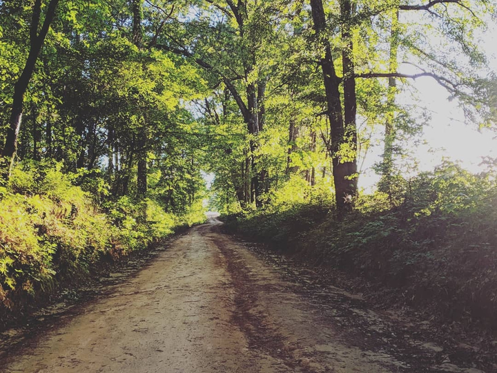 the road traveled