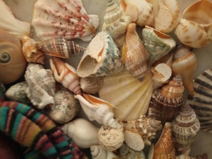 Sounds of Sea
