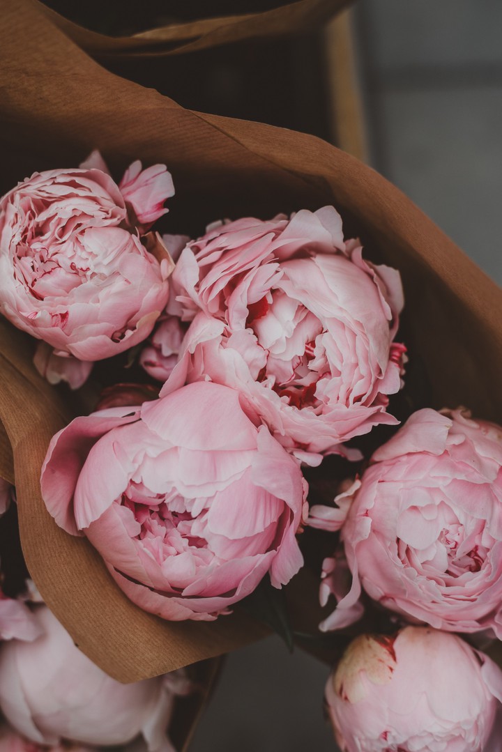PEONIES