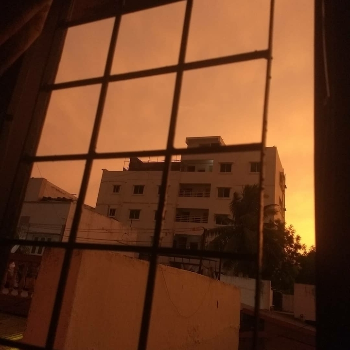 view from my window