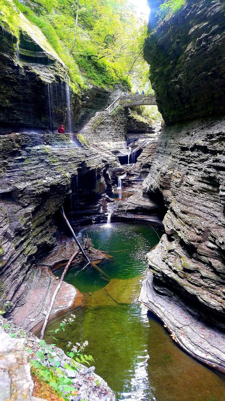 Watkins Glen, NY