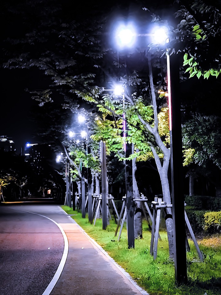 부산시민공원