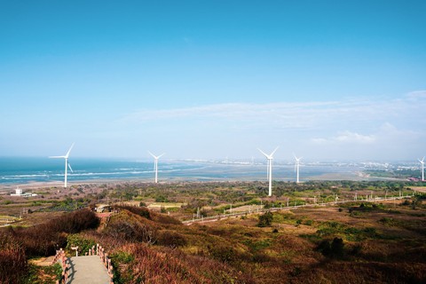 pinwheels aside the sea