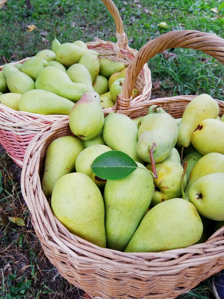 Pear