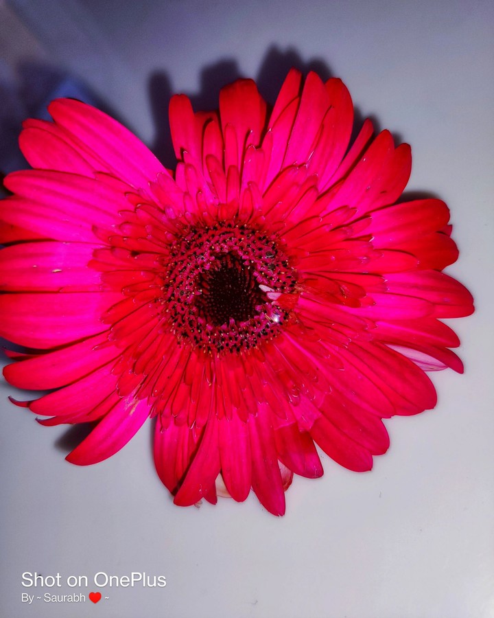 oneplus saurabh