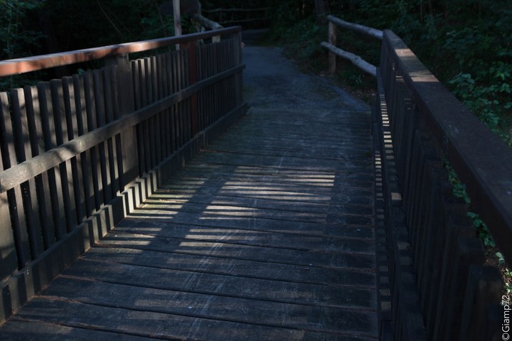old bridge
